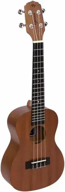 6-ukulele-concerto-guk-23-ws-sapele---giannini 6-ukulele-concerto-guk-23-ws-sapele---giannini